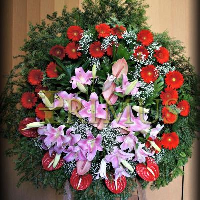 12 - PRIMUS Pogrzeby Łódź