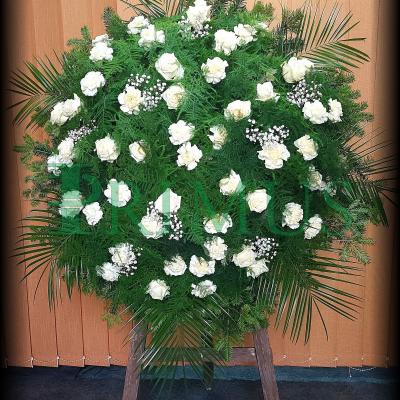 15 - PRIMUS Pogrzeby Łódź