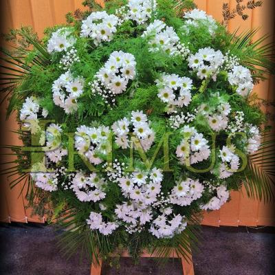 29 - PRIMUS Pogrzeby Łódź