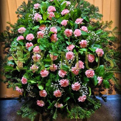 4F - PRIMUS Pogrzeby Łódź