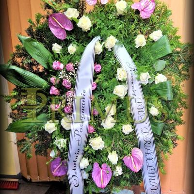 9C - PRIMUS Pogrzeby Łódź