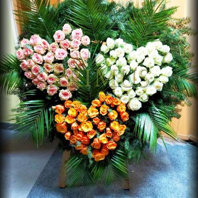 S11 - PRIMUS Pogrzeby Łódź