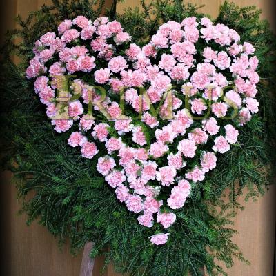 S13 - PRIMUS Pogrzeby Łódź